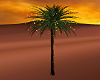 palm tree lights