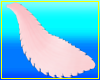 Pink Tail 