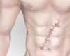 T. Skin Op v1