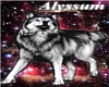 Alyssum Fur