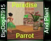 [BD] Paradise Parrot