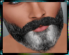 Grey Beard