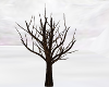 ~SB  Winter Tree
