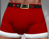 🎅 Sexy Santa Boxer