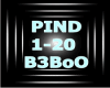 B3: PIND 1-20