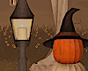 Fall Decor w Pumpkins