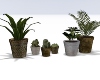 EM Potted Plants