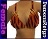 Tiger Print Bikini Top