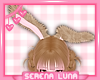 SL | Sleepy Bunny Ears