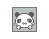panda square (ori)