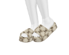 cc slides