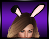 Bad Habbits Bunny Ears