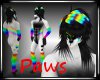 :3 Rainbow Tamy M paws 