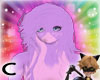 (C) Pirple Bunny Hair F
