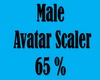 Male Avatar Scaler 65%