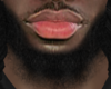 Asteri Beard #027