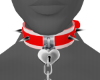Red-White Dog Collar