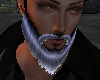 Silver Beard