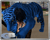 [GB]hold me benga tiger
