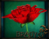 [B]july ruby rose