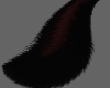 Mara tail 1