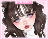 D. Trudy - Brownie
