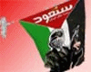 palestine flag 2