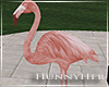 H. Flamingo