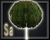 [Sa] The Tree
