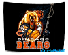 Bears Banner