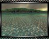 **Lake Surround 2