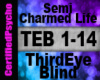Semi Charmed Life