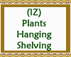 Plants Hanging  Shelving