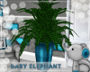 BABY ELEPHANT FERN 2