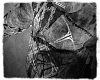 FRAGMENTS.