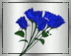 😻 Blue Rose+ Poses