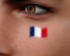 France Flag Face Tattoo