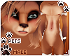 [Pets]Ginga | smooth fur