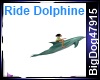 [BD] Ride Dolphione