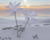 [GZ]Winter Palm Anim.