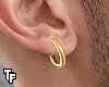 r. Gold earring