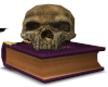 Skull and book.