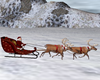 Santa Claus Reindeer