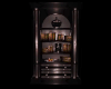 Dark Angel Bookcase...