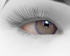 Eyes