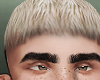Ecuad fade