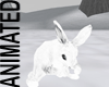 MLM Snow Bunny
