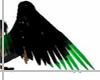 [H] Green Black Wings