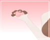 lilad | Paws