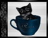 +Vio+ Raza's Kitten Cup